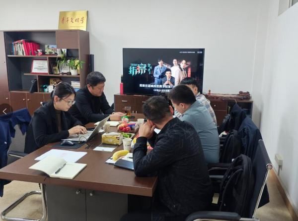 江蘇客戶一行來我公司就硅烷爐設備考察交流